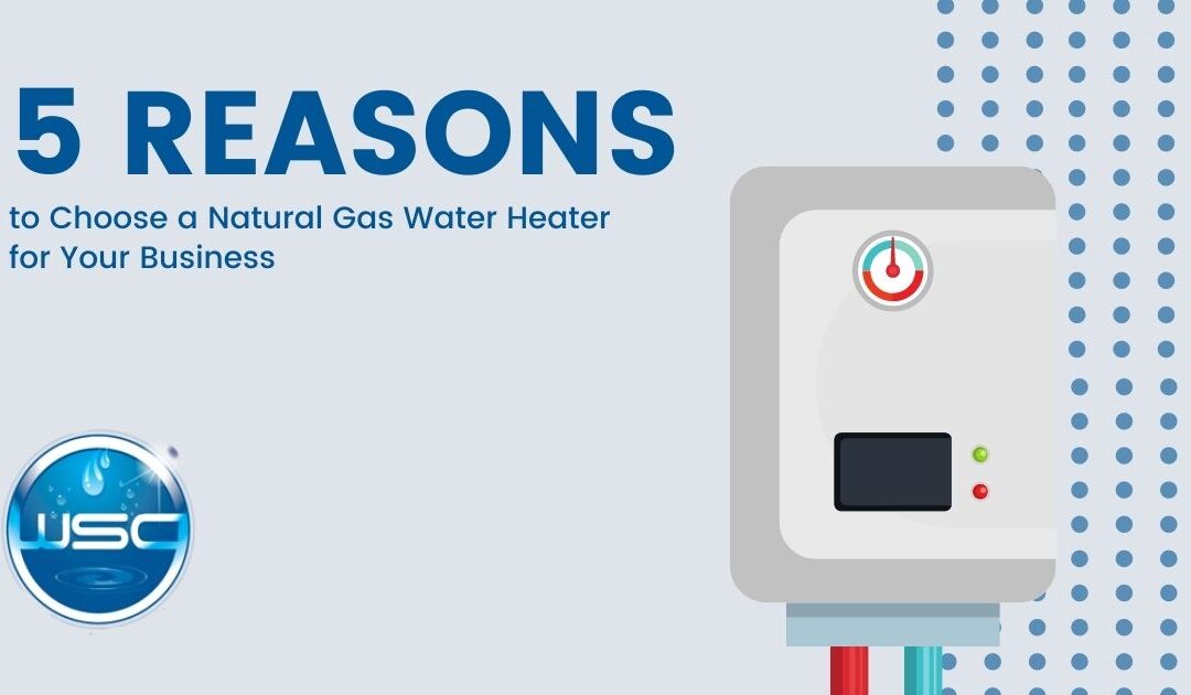 5 Reasons to Choose a Natural Gas Water Heater for Your Business